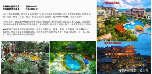 畫廊源 紅色旅游的資本新篇，重慶中虹源實業(yè)集團的上市雄心
